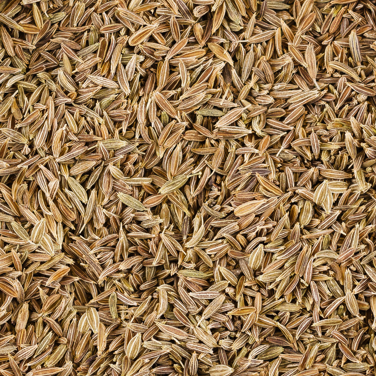 Cumin Seeds, Whole, 99.5% Purity (50 lb case)